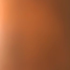 Meet your Posher, Leron